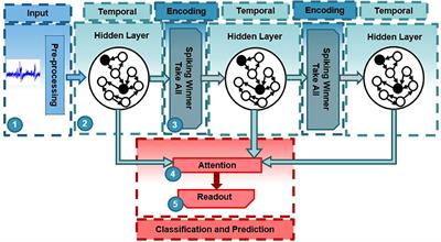 Deep Liquid State Machines With Neural Plasticity for Video Activity Recognition